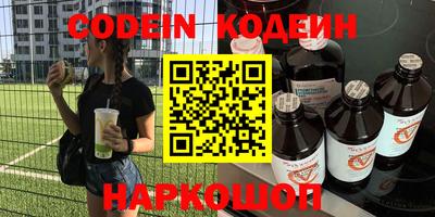 индика Новодвинск