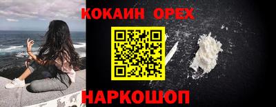 индика Новодвинск
