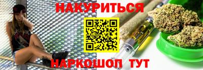 индика Новодвинск