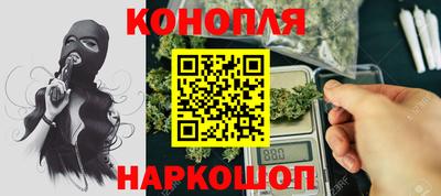 индика Новодвинск