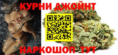 индика Новодвинск