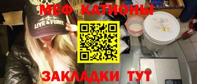 индика Новодвинск
